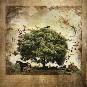 Listen to Sonnenstrand song with lyrics from Paradies der Tiere