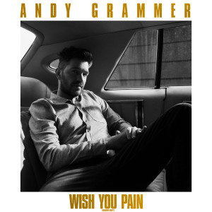收聽Andy Grammer的Wish You Pain (Radio Edit)歌詞歌曲