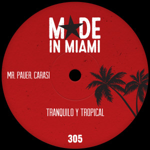 ดาวน์โหลดและฟังเพลง Tranquilo y Tropical พร้อมเนื้อเพลงจาก Mr. Pauer