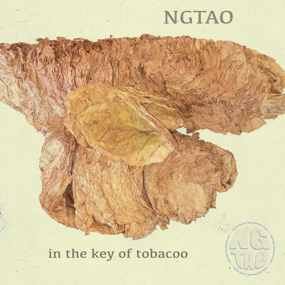 In The Key of Tobacoo (Explicit)
