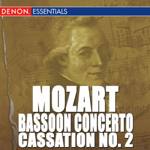 ดาวน์โหลดและฟังเพลง Concerto for Bassoon and Orchestra in B Major, KV 191: II. Andante ma Adagio พร้อมเนื้อเพลงจาก Alberto Lizzio