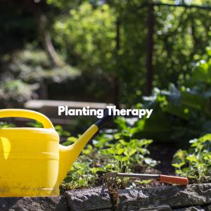 Album Planting Therapy from Jazz Chill Out Relax