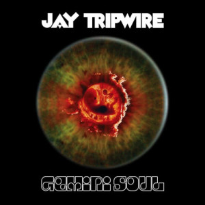 ดาวน์โหลดและฟังเพลง Tokyo Space Noodles พร้อมเนื้อเพลงจาก Jay Tripwire