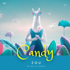 收听Zou的Candy歌词歌曲