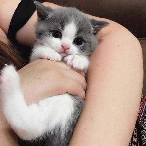 ดาวน์โหลดและฟังเพลง tie ya shoes (Explicit) พร้อมเนื้อเพลงจาก Kins