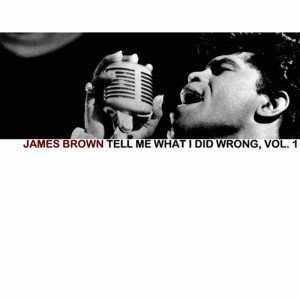 ดาวน์โหลดและฟังเพลง Gonna Try พร้อมเนื้อเพลงจาก James Brown