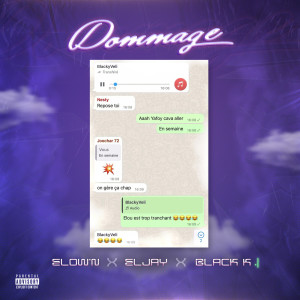 Listen to Dommage (Explicit) song with lyrics from Elown