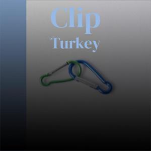 Album Clip Turkey from Various