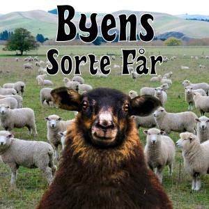 收聽Sinsenprinsen的Byens sorte får歌詞歌曲