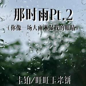 Album 那时雨Pt.2 (你像一场大雨淋湿我的眼睛) from 卡铂