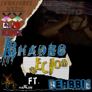 ดาวน์โหลดและฟังเพลง Echo (Remix) พร้อมเนื้อเพลงจาก LShade