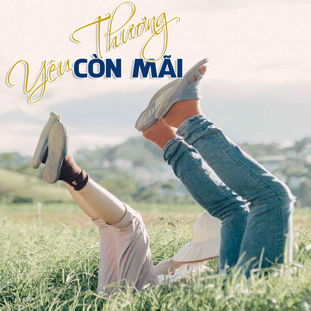 Hạ Hồng