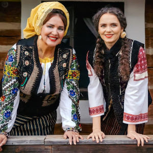 Listen to Primarul song with lyrics from Angelica Flutur