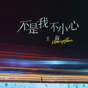 收听王韵的不是我不小心歌词歌曲