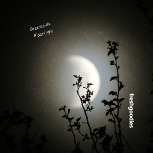 Album Moonlight from Groovetide