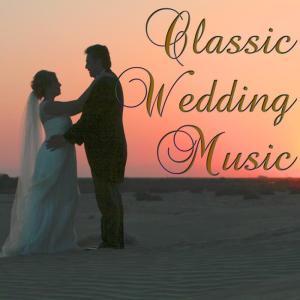 ดาวน์โหลดและฟังเพลง Hymne พร้อมเนื้อเพลงจาก The Wedding Planner