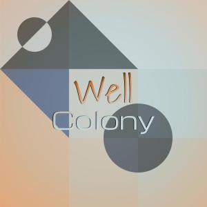 Various Artists的專輯Well Colony