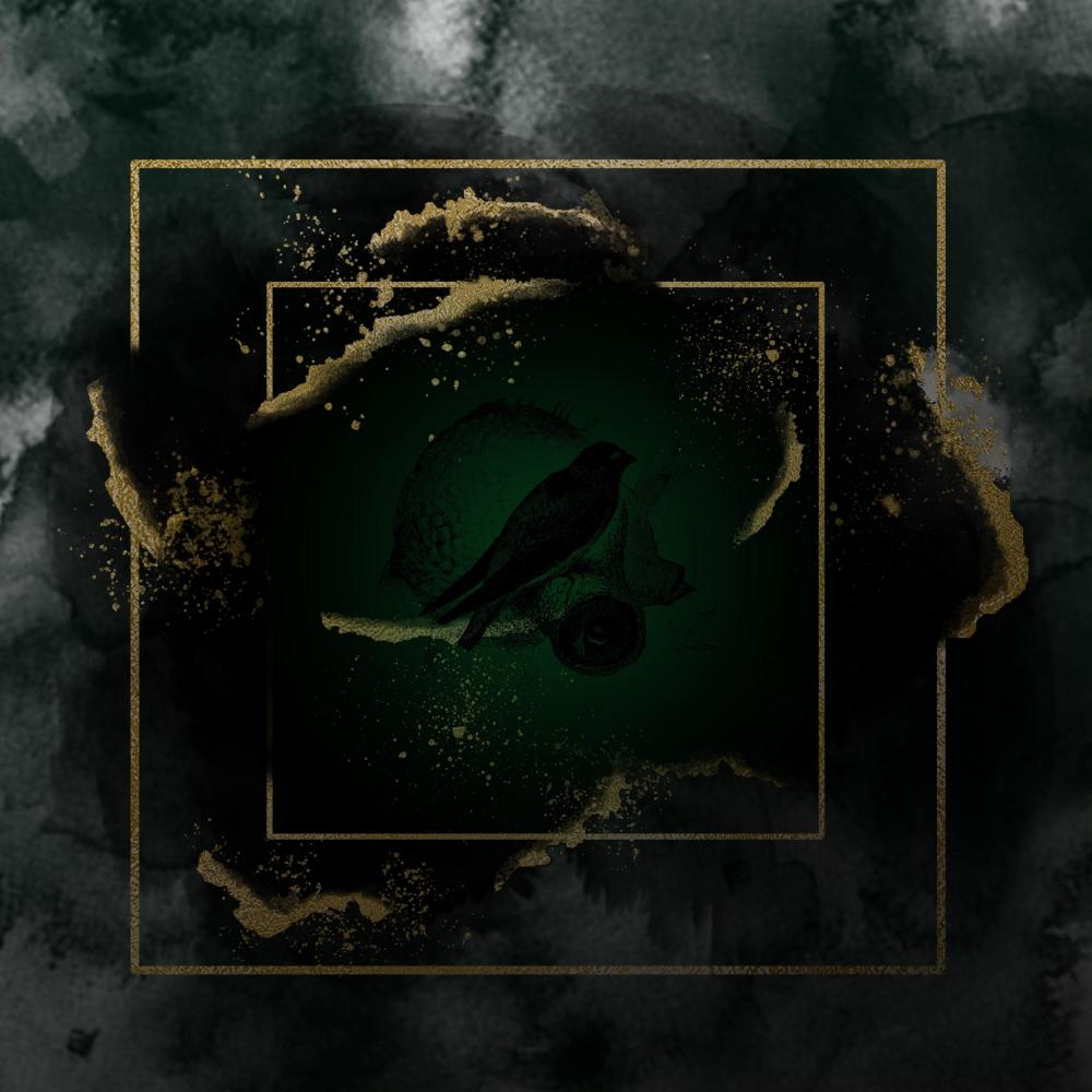 Blackbird (Demo)