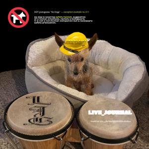 ดาวน์โหลดและฟังเพลง LIVE_JOURNAL พร้อมเนื้อเพลงจาก Anna Lily