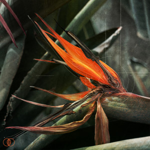 Hopeful Child的專輯The Return To The Garden