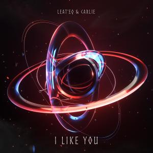 Album I Like You oleh Carlie