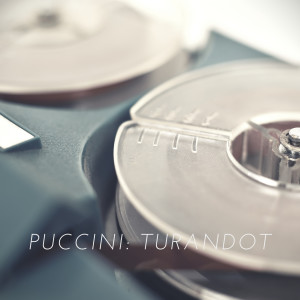 Listen to Turandot song with lyrics from Orchestra dell'Opera di Roma