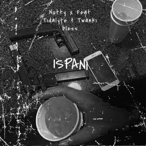 Listen to Ispani (feat. Tidalyte & Twanki bless) song with lyrics from Nutty X