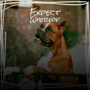 Album Expect Whereof oleh Various