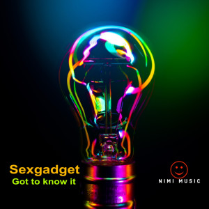 Sexgadget的专辑Got To Know It