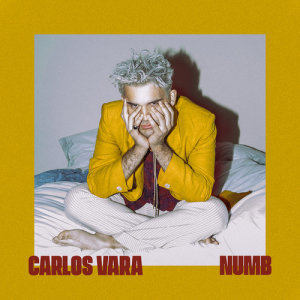 收聽Carlos Vara的Numb歌詞歌曲