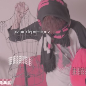 Album Manic Depression from ploverefluff