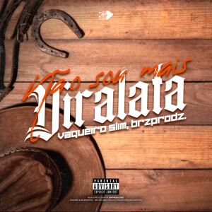 Album NÃO SOU MAIS VIRA LATA (Explicit) from VAQUEIRO SLIN