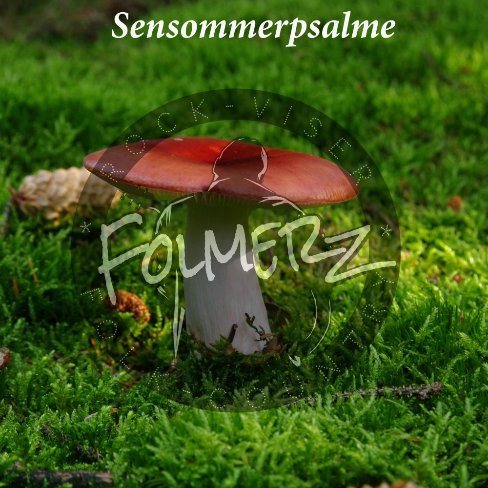 SENSOMMER PSALME