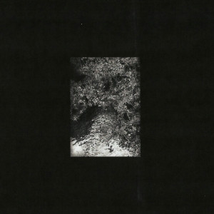 Dengarkan lagu Monumen nyanyian The Trees & The Wild dengan lirik