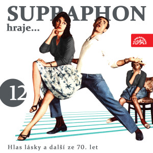 Listen to Ty a já song with lyrics from Pavel Liška