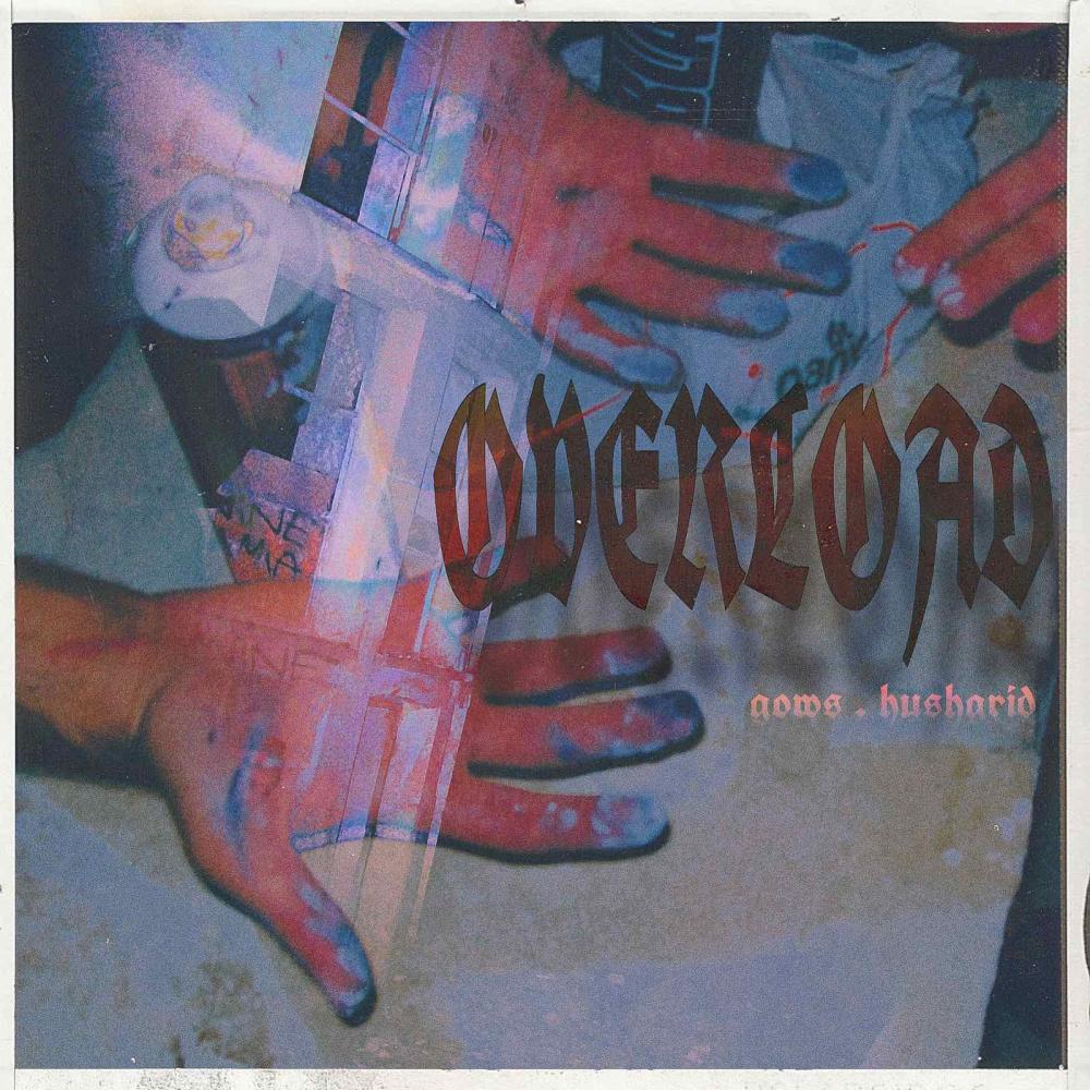 OVERLOAD (feat. HUSHGRID)