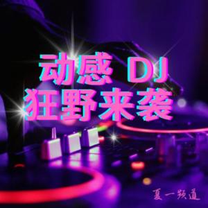 Album 动感DJ音乐 oleh 夏一ya