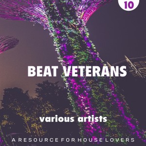 Various Artists的專輯Beat Veterans, Vol. 10