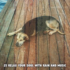 Ambient Rain的專輯25 Relax Your Soul With Rain And Music
