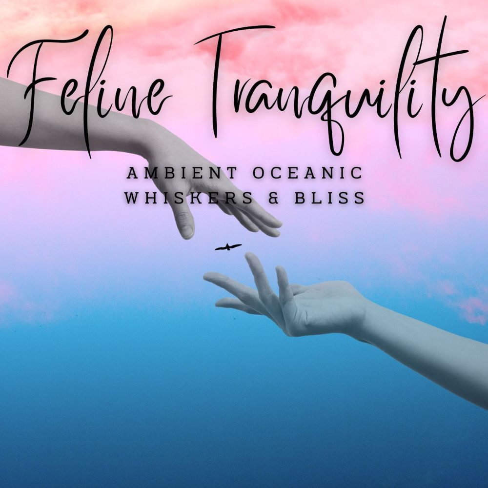Ambient Ocean Waves for Feline Zen