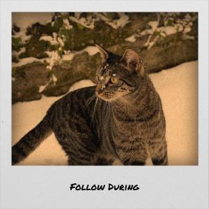 Listen to Follow During song with lyrics from Cman Tete