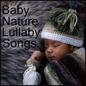 ดาวน์โหลดและฟังเพลง Falling Asleep with Nature พร้อมเนื้อเพลงจาก Baby Lullaby Ensemble