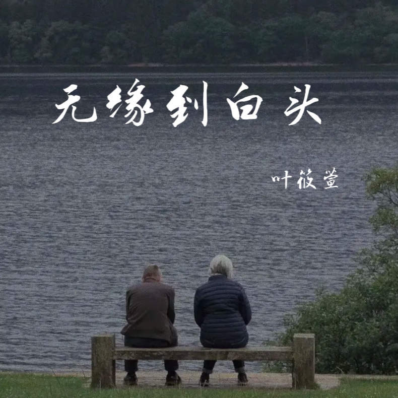 无缘到白头