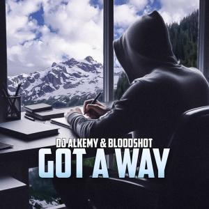 DJ Alkemy的專輯Got a Way