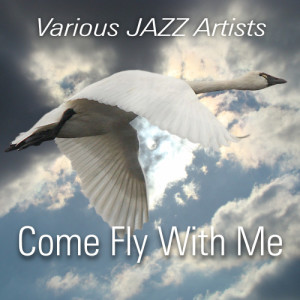 ดาวน์โหลดและฟังเพลง Come Fly With Me พร้อมเนื้อเพลงจาก Joop Thonhauser