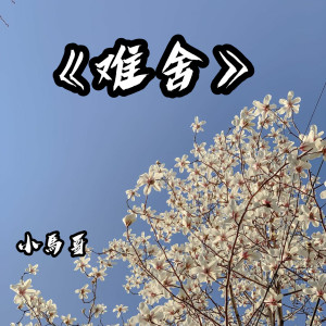 Listen to Something Just Like This（Remix） (Remix) song with lyrics from 小马哥