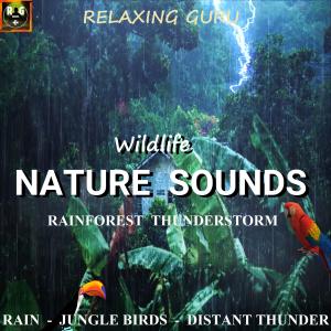 Wildlife Nature Sounds: Rainforest Thunderstorm with Noises of Rain, Jungle Birds & Distant Thunder dari Relaxing Guru