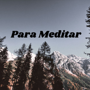 Album Para Meditar from 