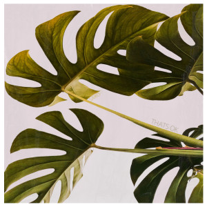 Dengarkan That's ok lagu dari Saiko dengan lirik