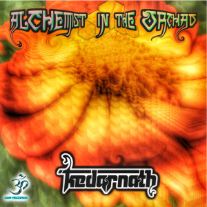 ดาวน์โหลดและฟังเพลง Radio Natura Fm (Original Mix) พร้อมเนื้อเพลงจาก Kedarnath